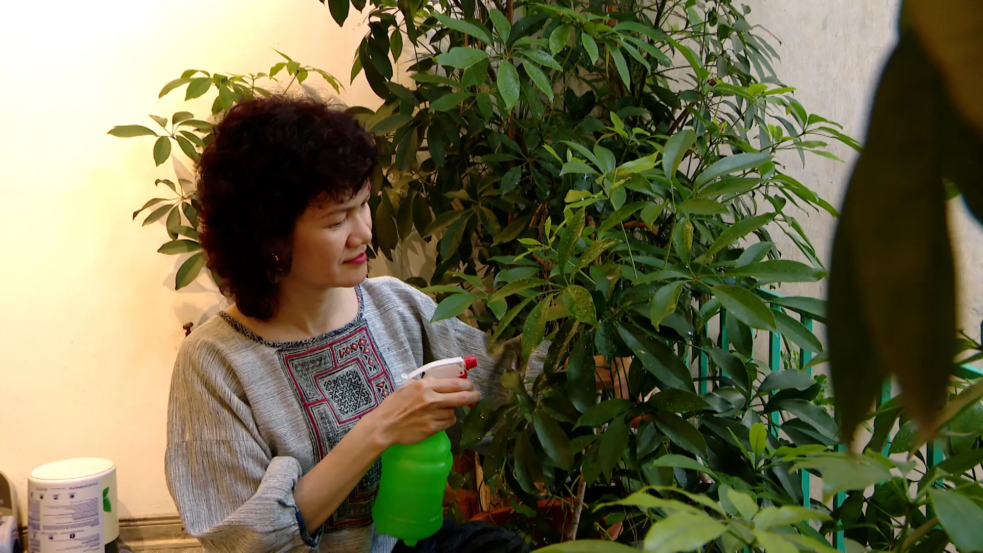 Sống ở khu tập thể cũ